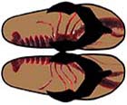 Karma Zen Sandals
